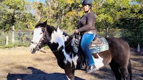 Beginner friendly Horse riding exercises for balance and control