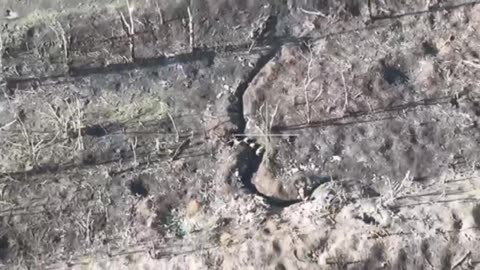 Russian kamikaze drone hit with accuracy.