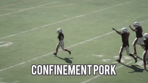 Pinewynd > confinement pork