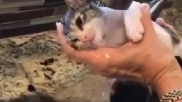 Washingthemeower