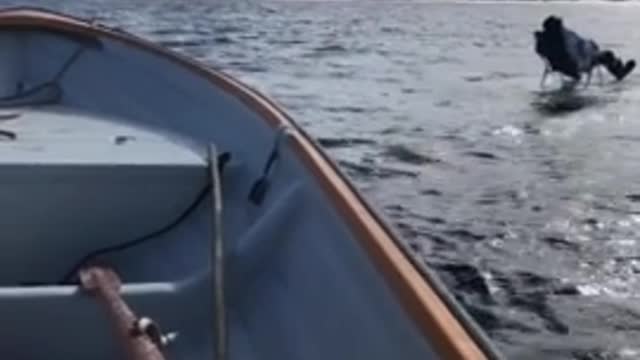 Man Fishes on Ice Block in the Middle of the Lake