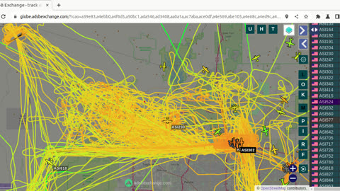 Bird Mafia Utah Invasion Data Raw Afternoon - Dec 27th 2023 -