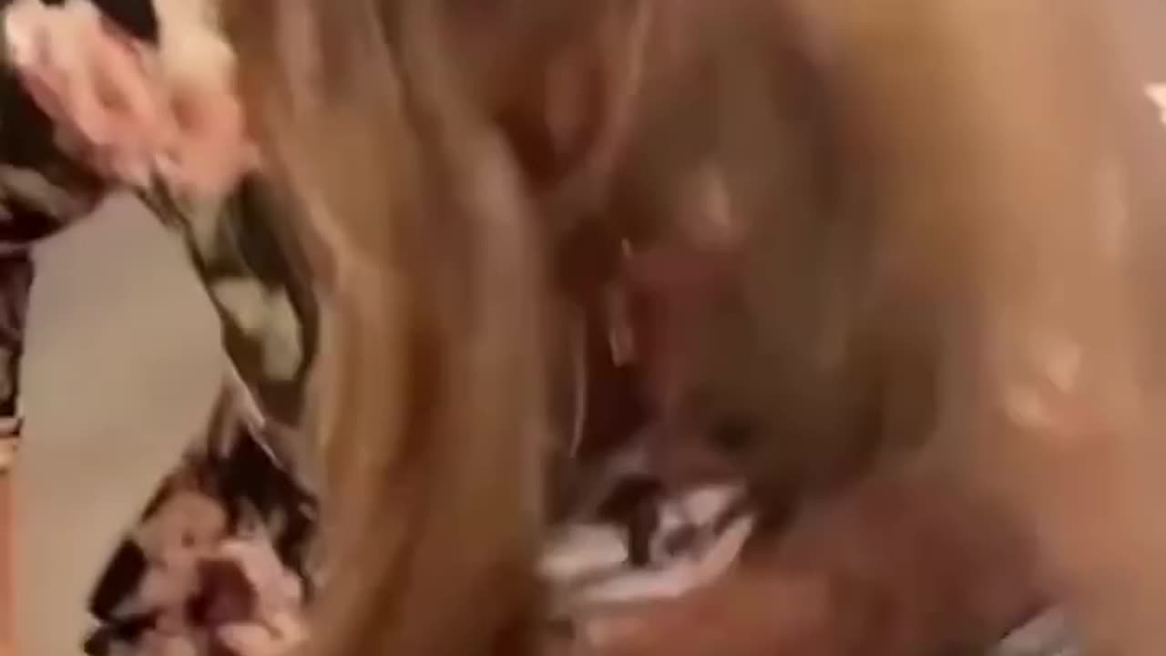 Hirlious prank