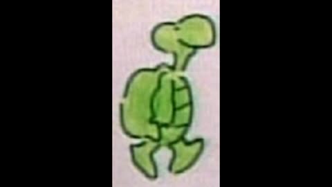 Turtle Tales Vol. 13