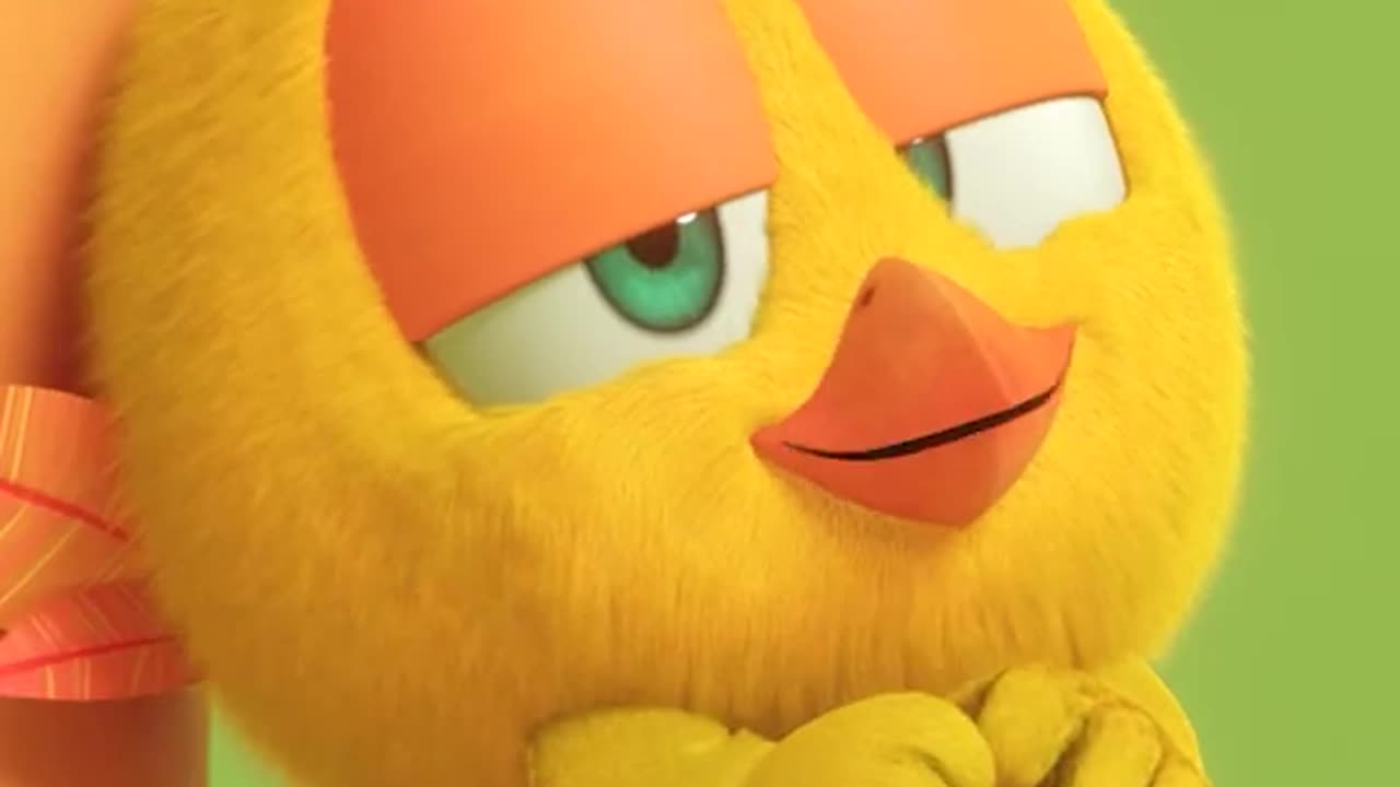 #SHORTS CHICKY