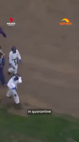 THEY ARE RAMPING UP THE BIRD FLU SCAMDEMIC