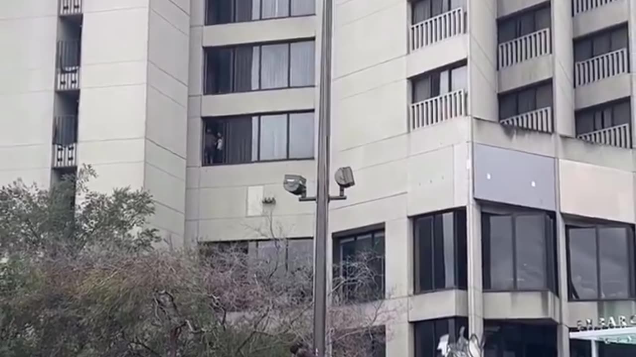 Anti-Israel protesters tear down an American flag in San Francisco and hoist a Palestinian flag