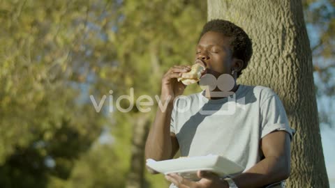 Young Black Man In Wheelchair Enjoying Sandwich In Park