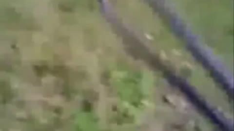 5 Creepy Gringe Scary Videos #3