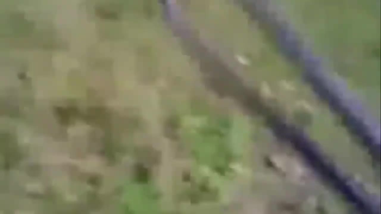 5 Creepy Gringe Scary Videos #3