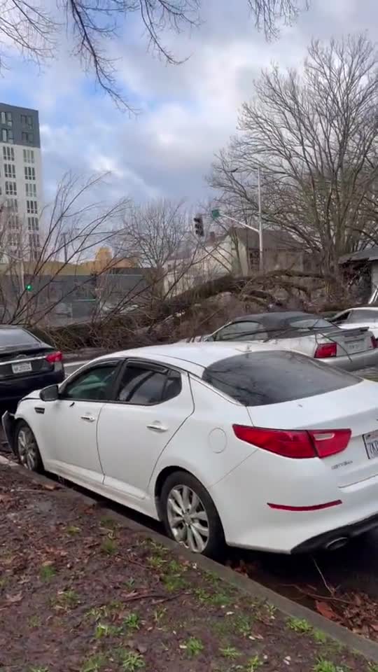 Storm causes damage across Sacramento, California