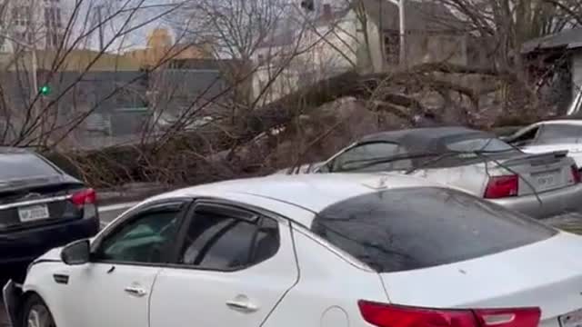 Storm causes damage across Sacramento, California