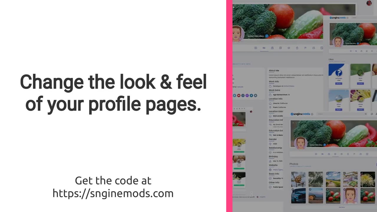 Sngine Plugins & Mods - Free Sngine Profile Extended Mod