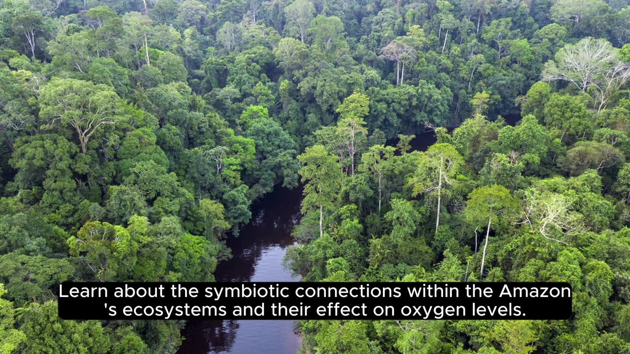 Amazon's Breath of Life: Producing 20% of Earth's Oxygen"❤️