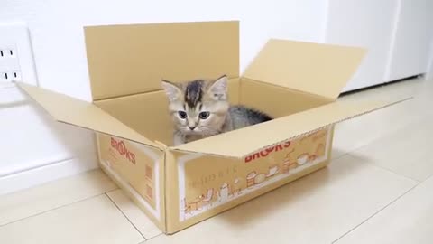 It's my box...