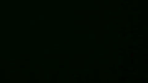 Rapture of the Saints