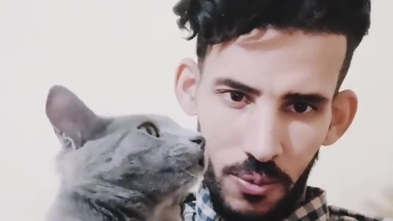 Diary of Kaiser and the cat Kai