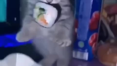 Most famous funniest video