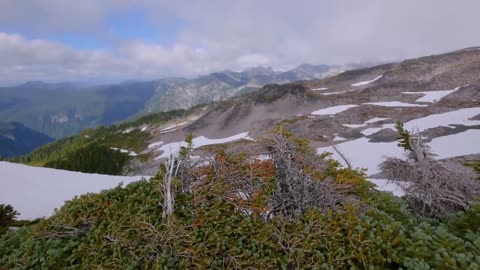 Mount Rainier National Park - Nature Relax Video, Summer Scenery