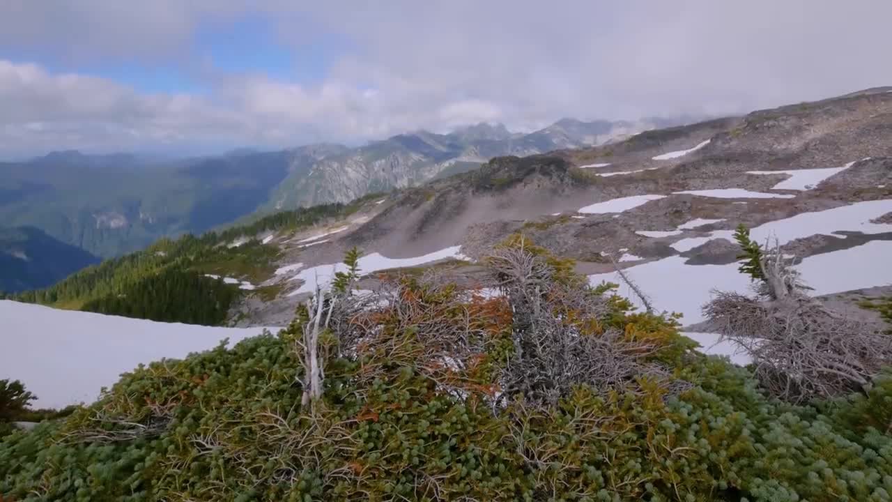 Mount Rainier National Park - Nature Relax Video, Summer Scenery