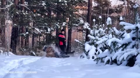 Funny video German god funn