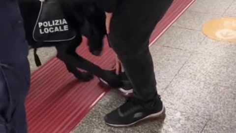 UN BON CHIEN POLICE