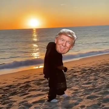 Trump - Gangsta Walk