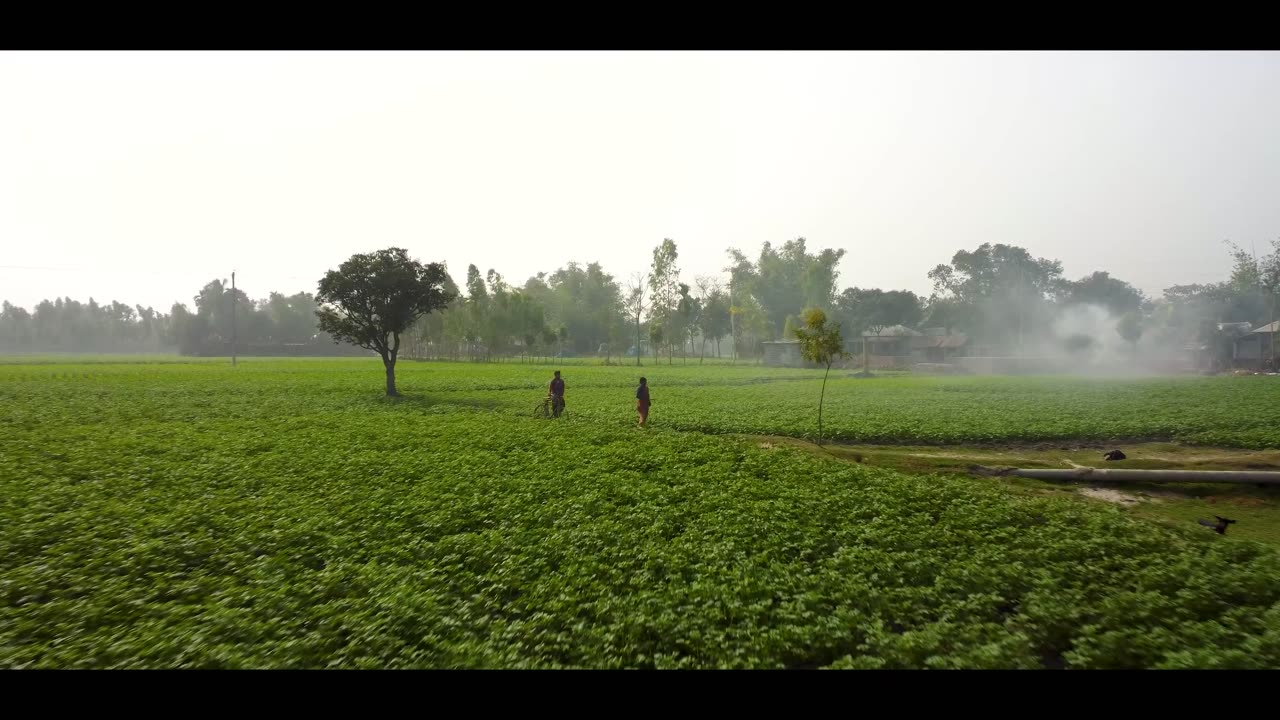 Cinematic BANGLADESH in 4K