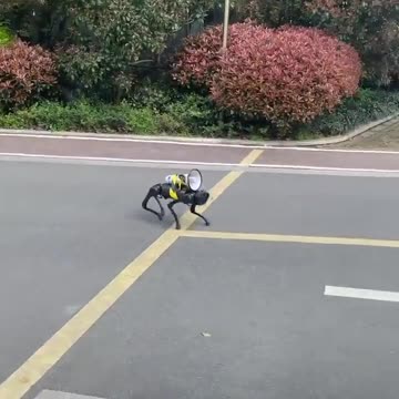 A robot dog patrols the empty streets of Shangha