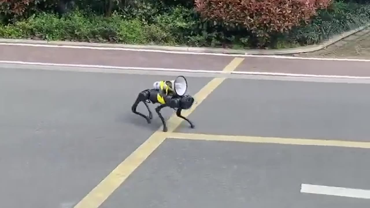 A robot dog patrols the empty streets of Shangha