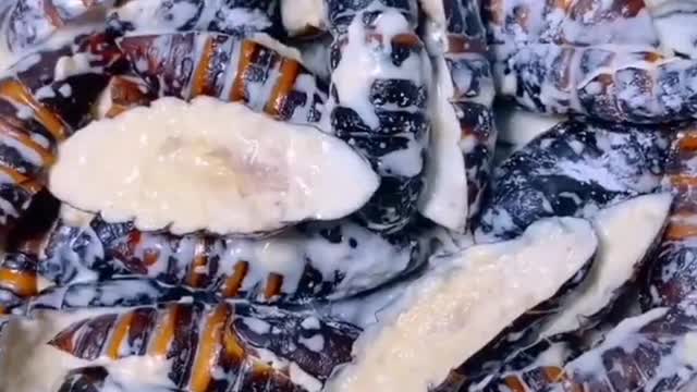 Eating delicious food is also a pleasure