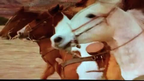 Chasing Silverado Cowboys with My Camera Car Gerald McCarney