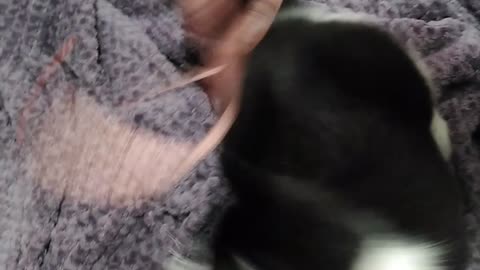 Tape