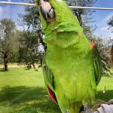 REMIX nella vecchia fattoria