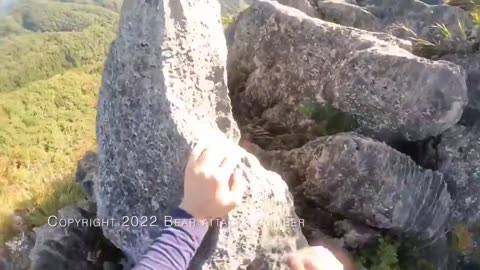 bear attack while rock climbing