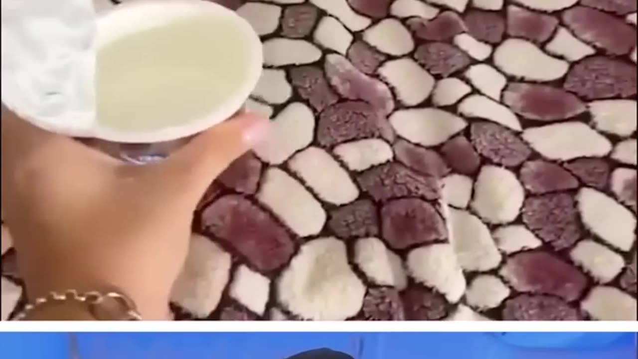 Funny Animals🦆