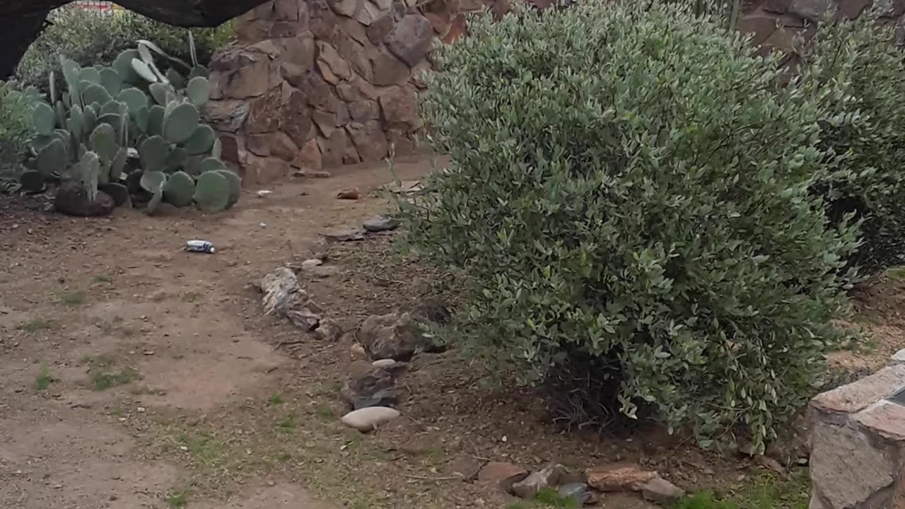 The Lost Dutchman's Gold mine near Apache Junction, AZ 3/9/23