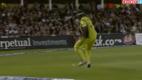 Funny cricket moments 😂