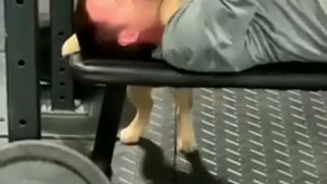 This Dog Knows How To Make Training More Efficient! Your Good Mood Is Here! #Shorts.