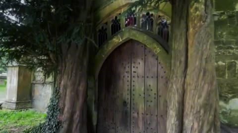 Through this door to Hogwarts