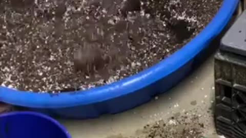Super soil