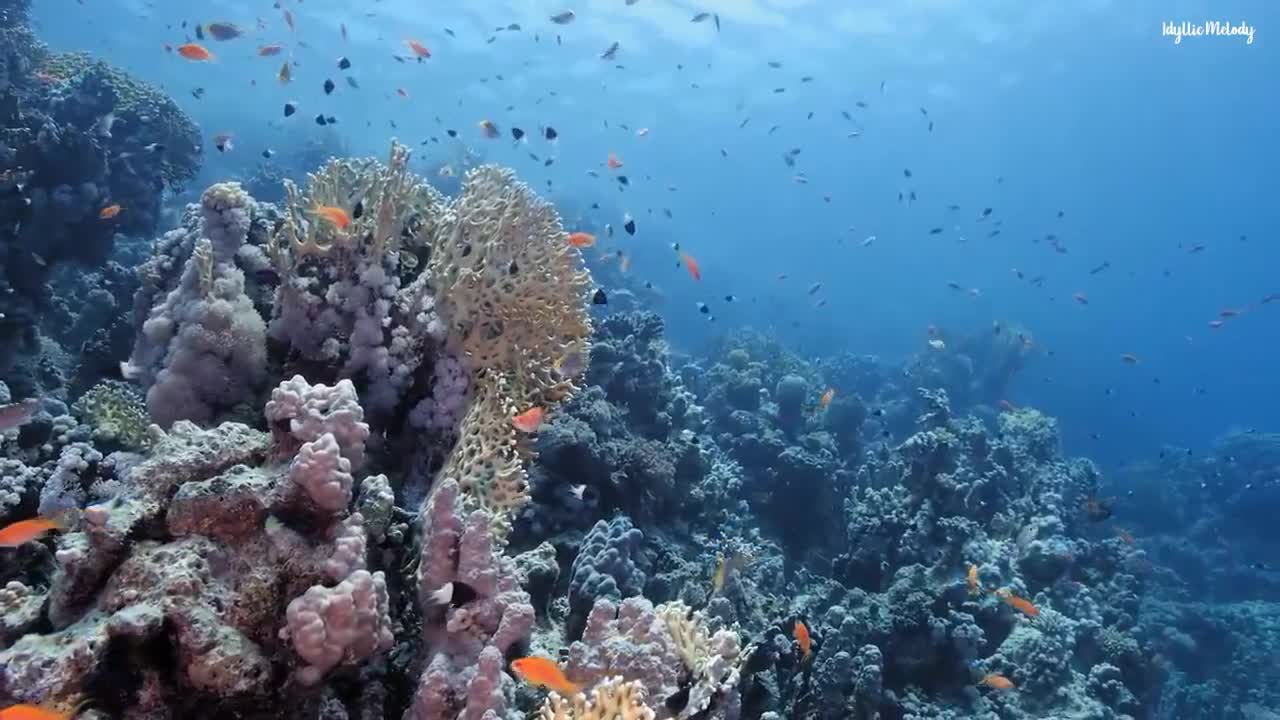 Dormirse en menos de 3 MINUTOS