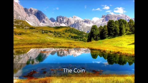 The Coin