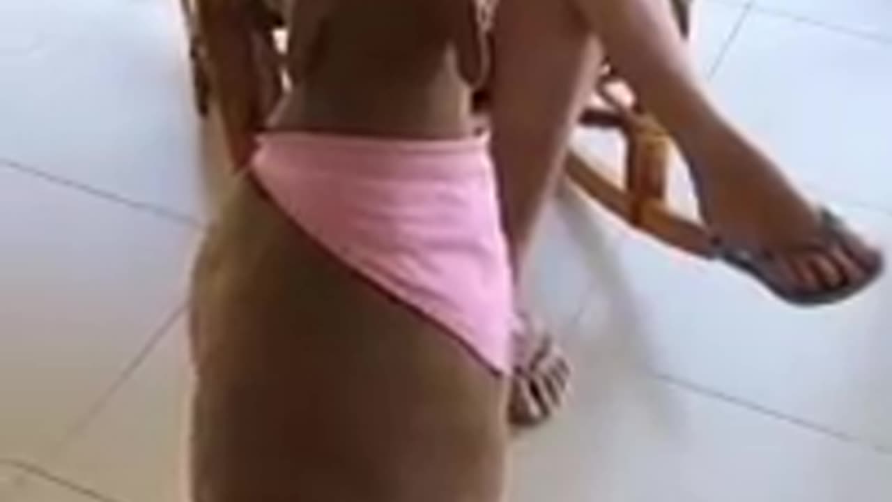 Funny animal videos / Funny cats / Funny dogs / Funny animals