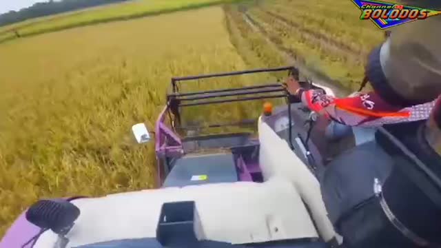 Combine harvesting
