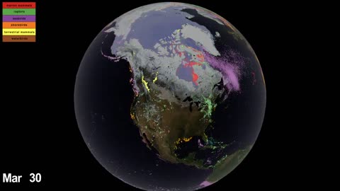 NASA's Insight: Unveiling Earth's Intricate Connections