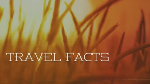 Animal Facts