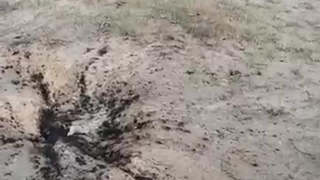 Our guys destroyed a group of Ukronazis