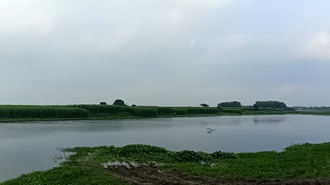 Raining season at farming place in India