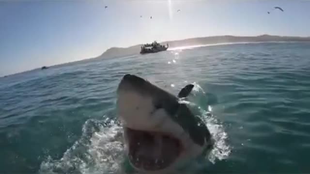 The Gigantic Beauty Of ocean